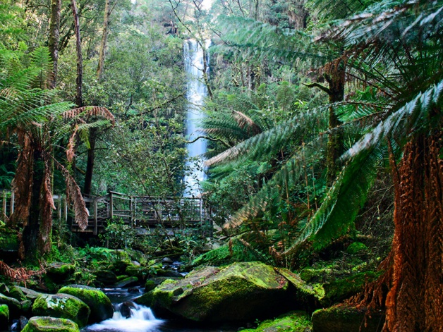 Водопад Erskine Falls