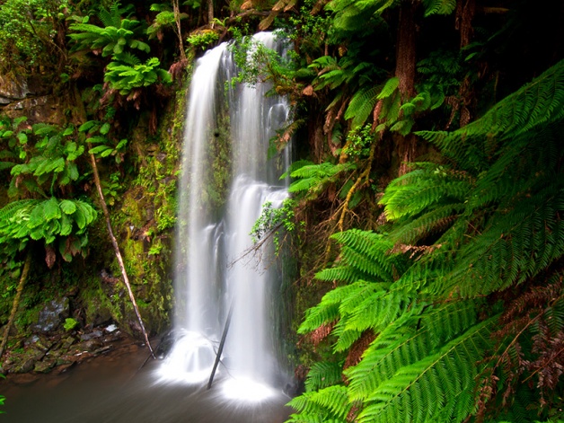 Водопад Erskine Falls