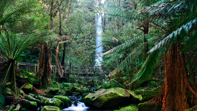 Erskine Falls