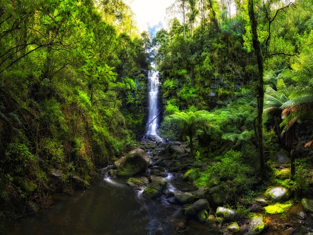 Водопад Erskine Falls