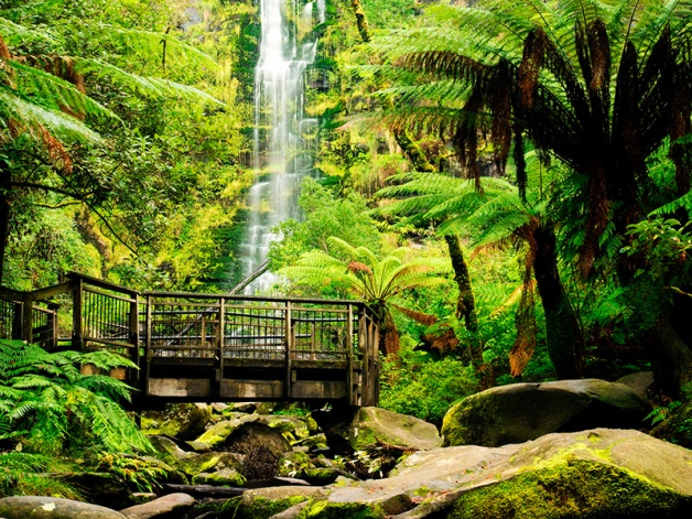 Водопад Erskine Falls