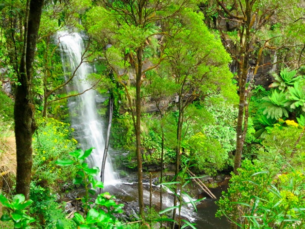 Erskine Falls