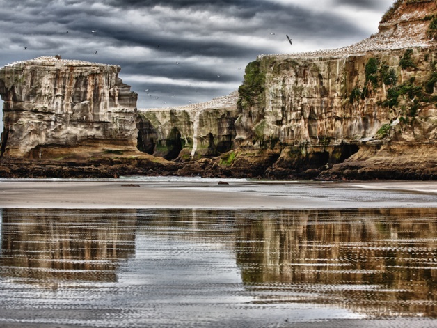 Muriwai Regional Park