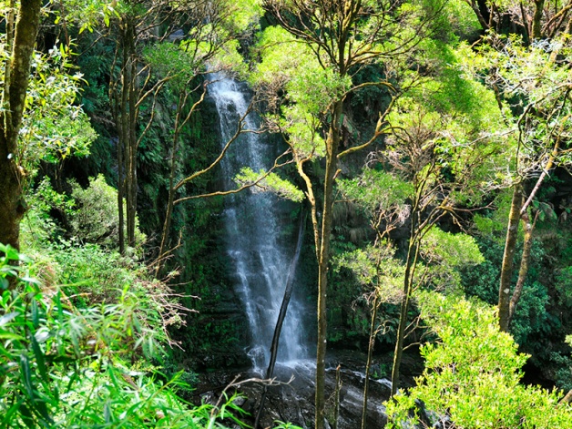 Erskine Falls